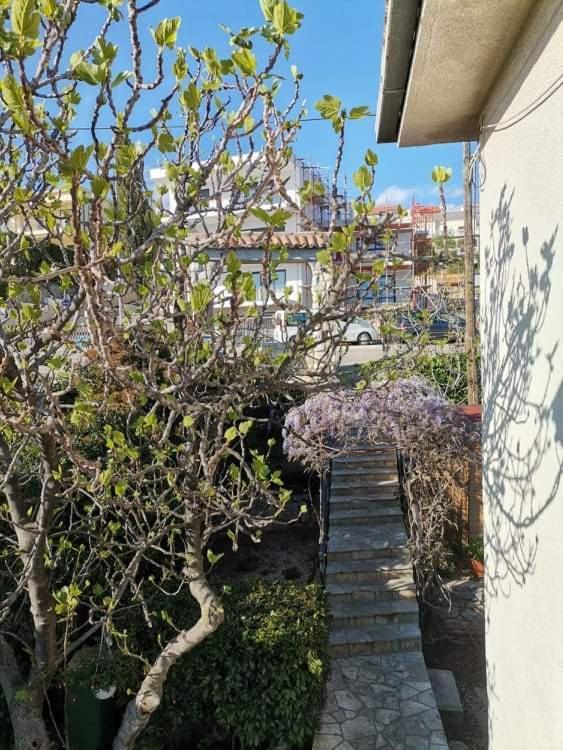 Guest House Sunce 노비비노돌스키 외부 사진