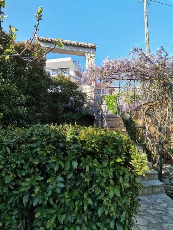 Guest House Sunce 노비비노돌스키 외부 사진